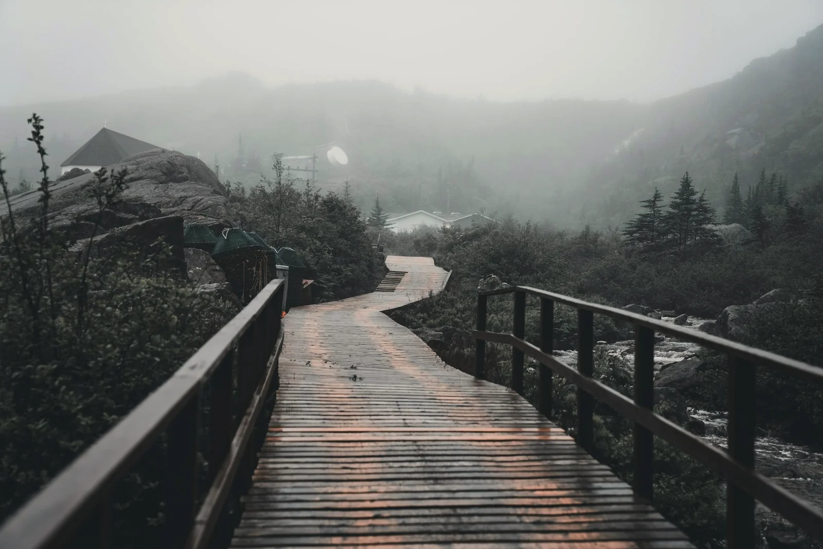 榮格人格測驗 vs MBTI:兩個人格測驗的根本差別,你適合做哪一個?